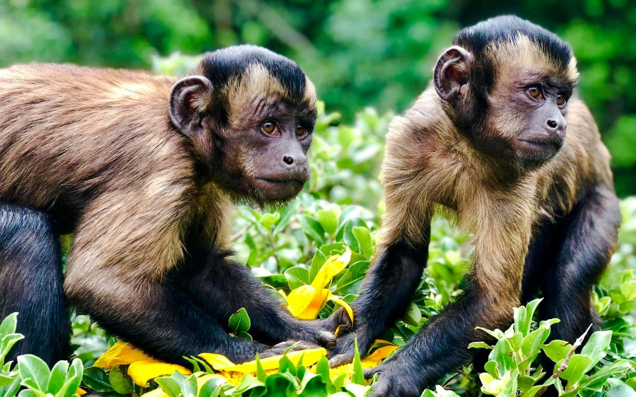 Willowbank Wildlife Reserve Tickets Location