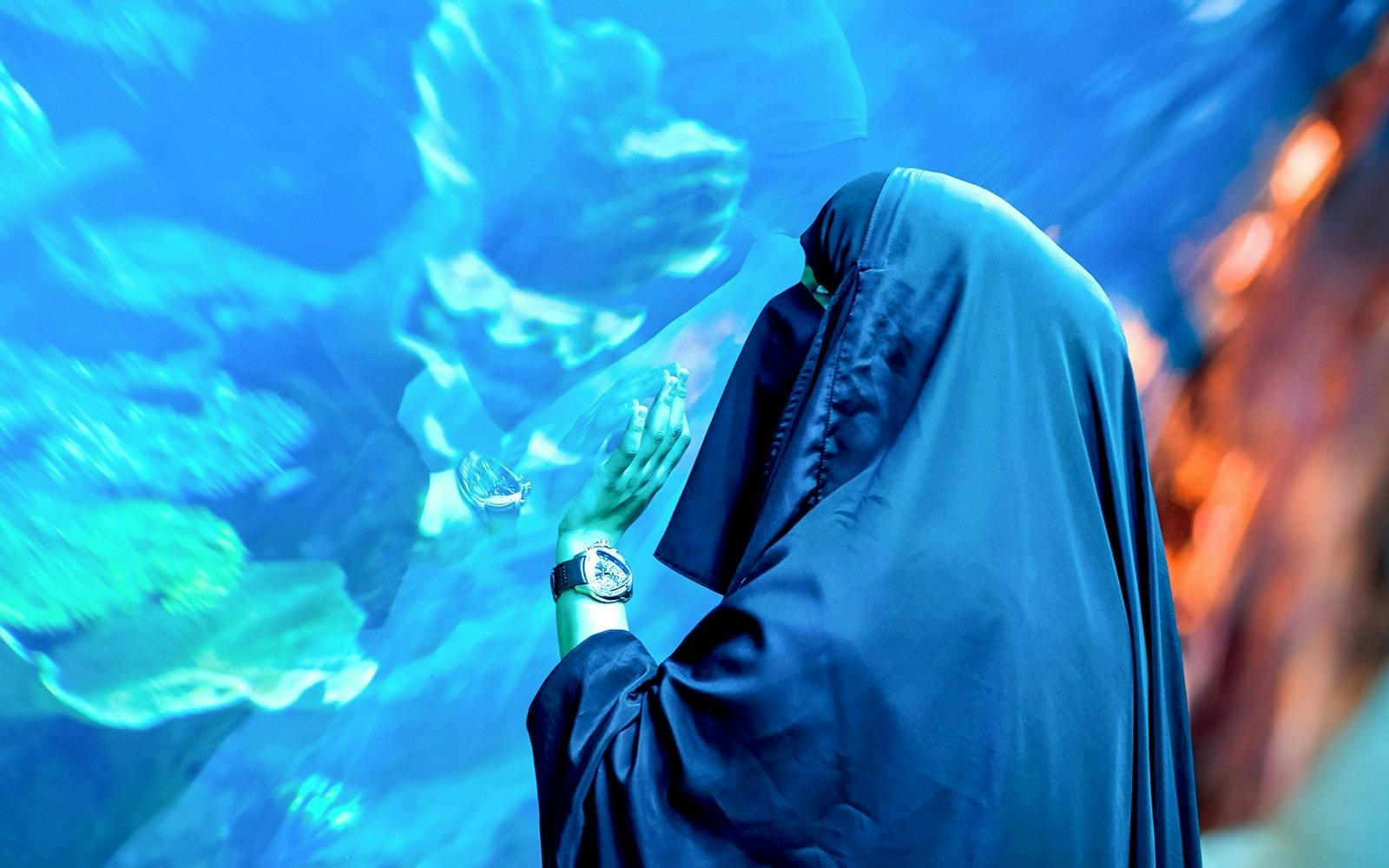 Dubai Aquarium + Global Village Location