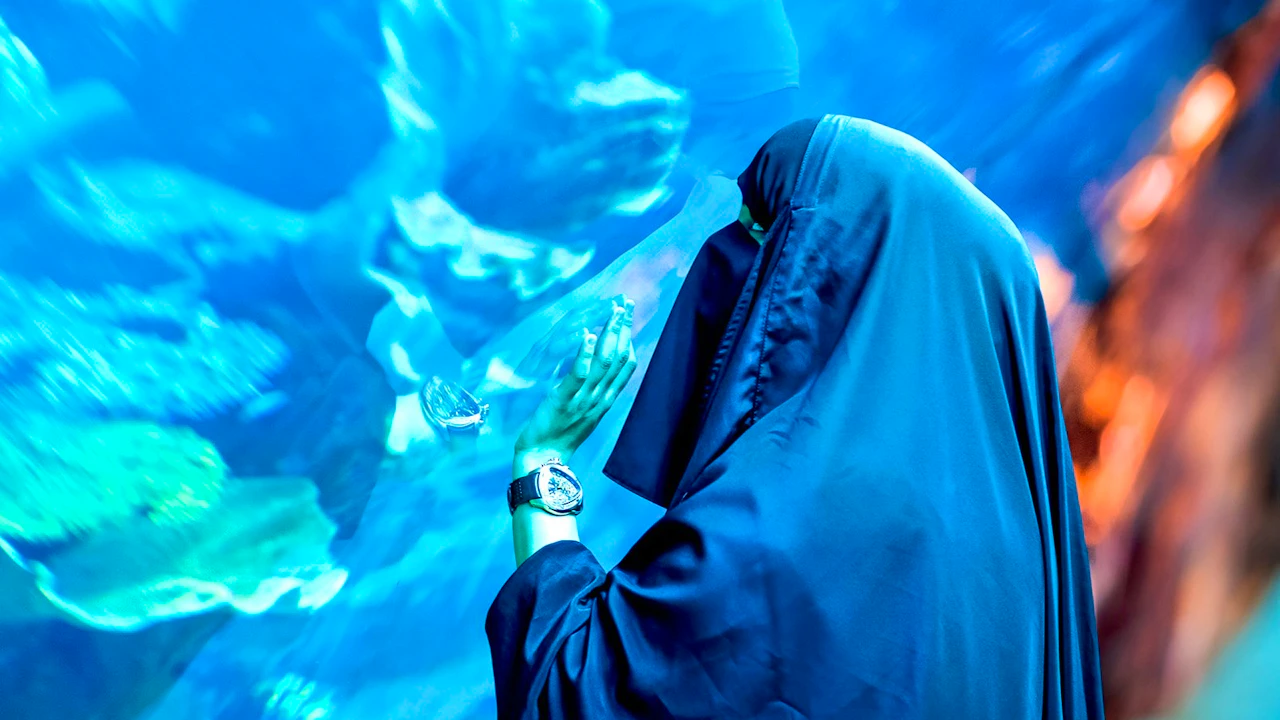 Dubai Aquarium + Global Village Location