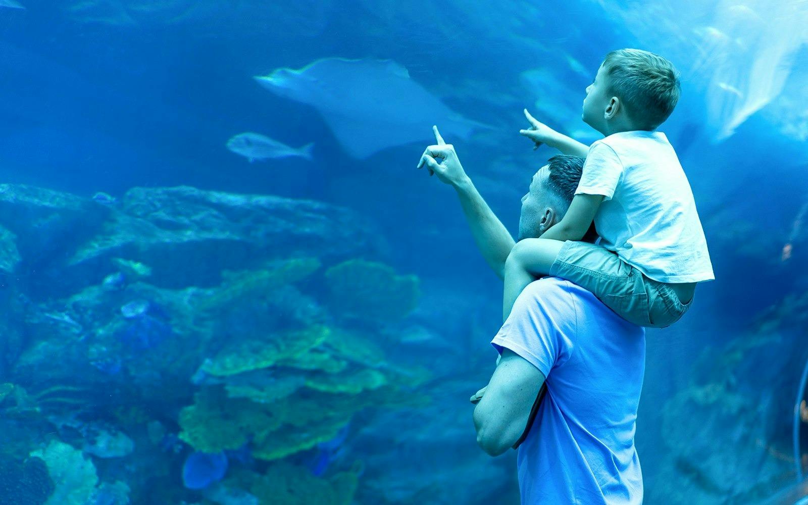 Dubai Aquarium + Global Village Discount