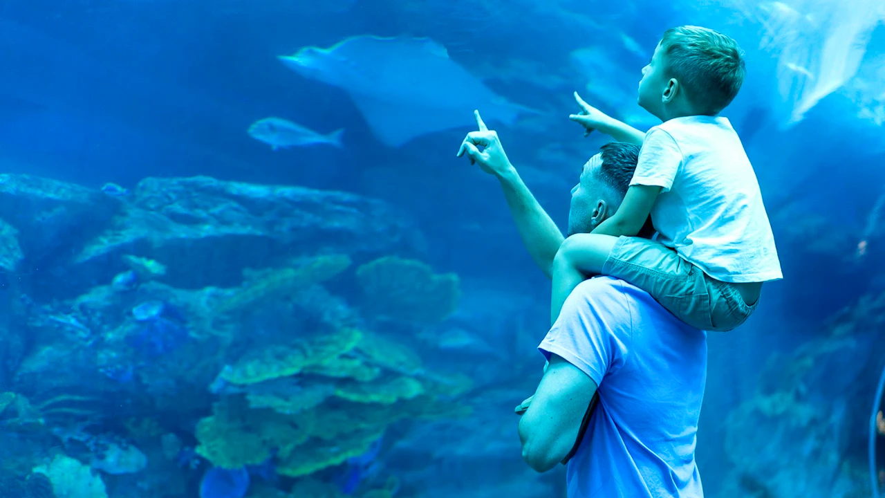 Dubai Aquarium + Global Village Discount