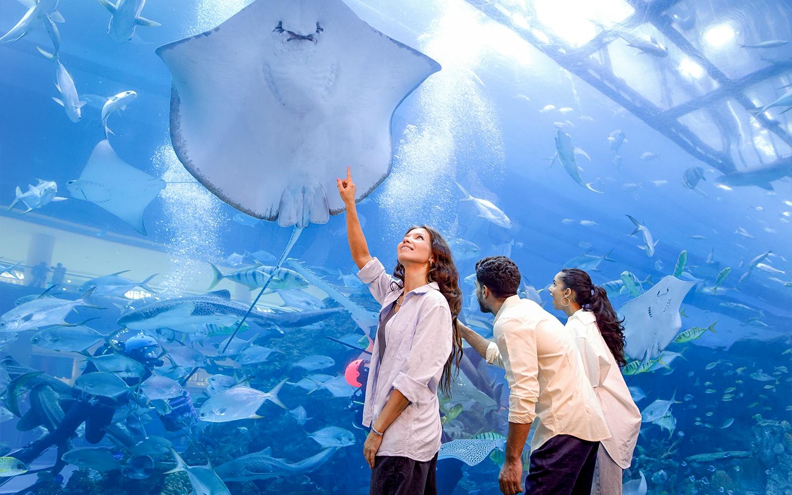 Dubai Aquarium + Global Village Thrillark