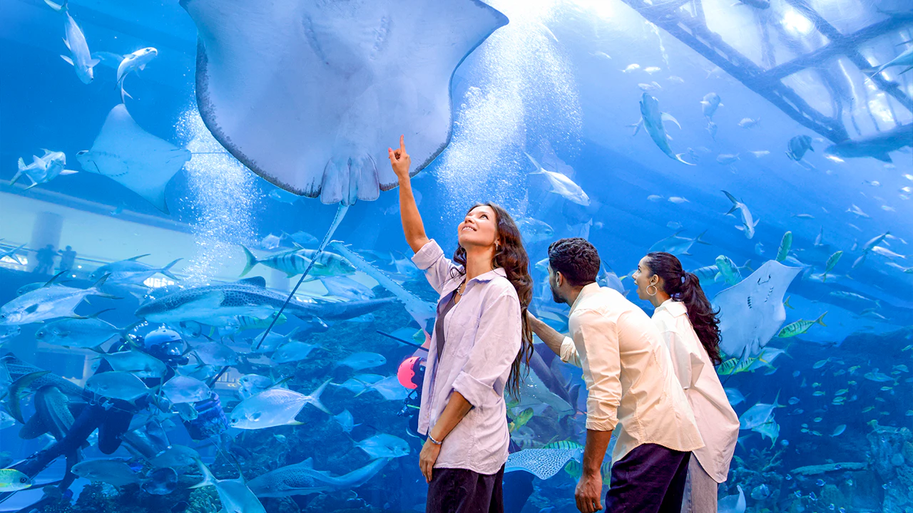 Dubai Aquarium + Global Village Thrillark