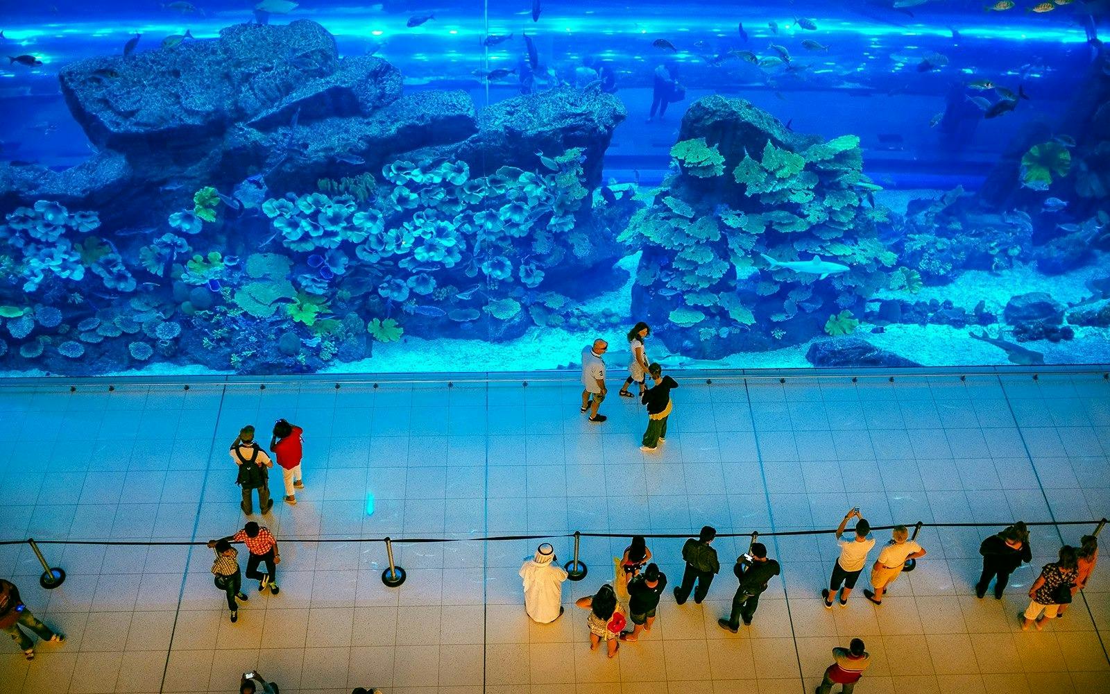 Dubai Aquarium + Global Village Price