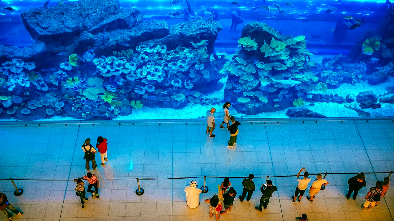 Dubai Aquarium + Global Village Price