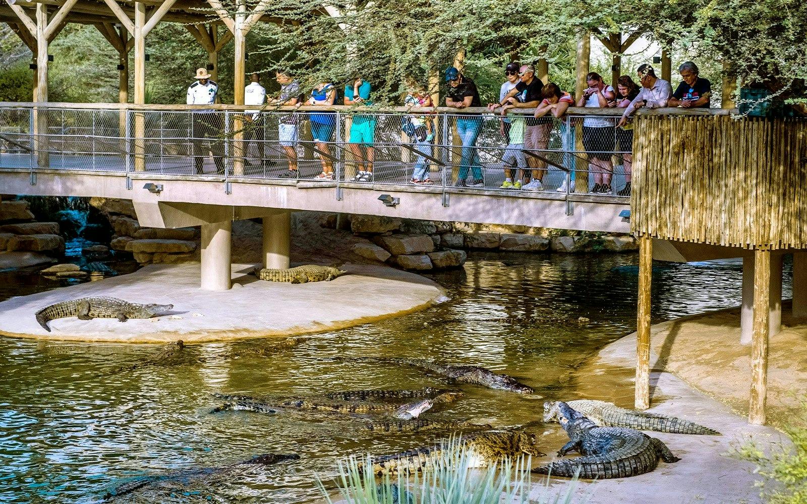 Dubai Dolphinarium + Dubai Crocodile Park Ticket 
