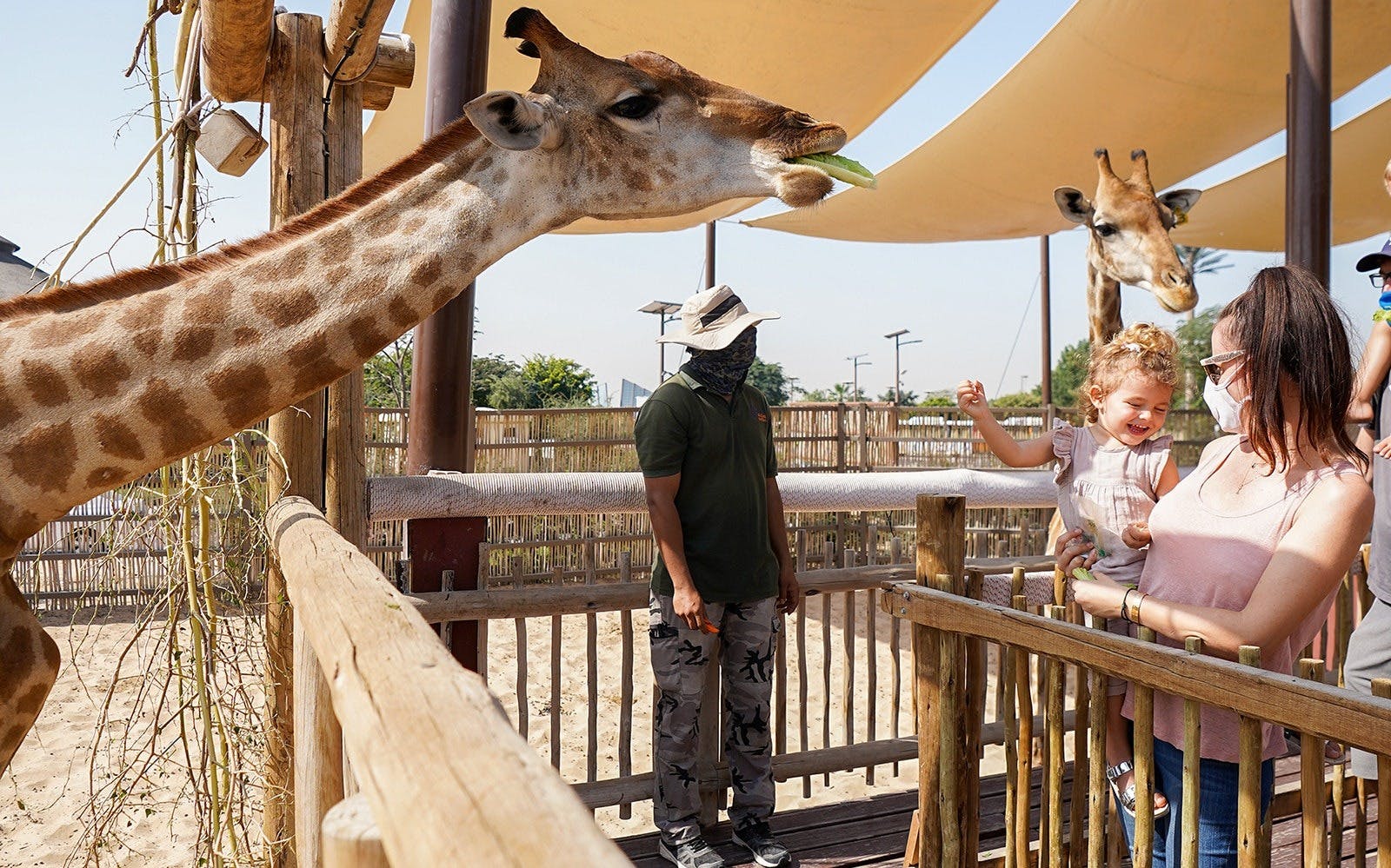Dubai Safari Park + Global Village Ticket  Category