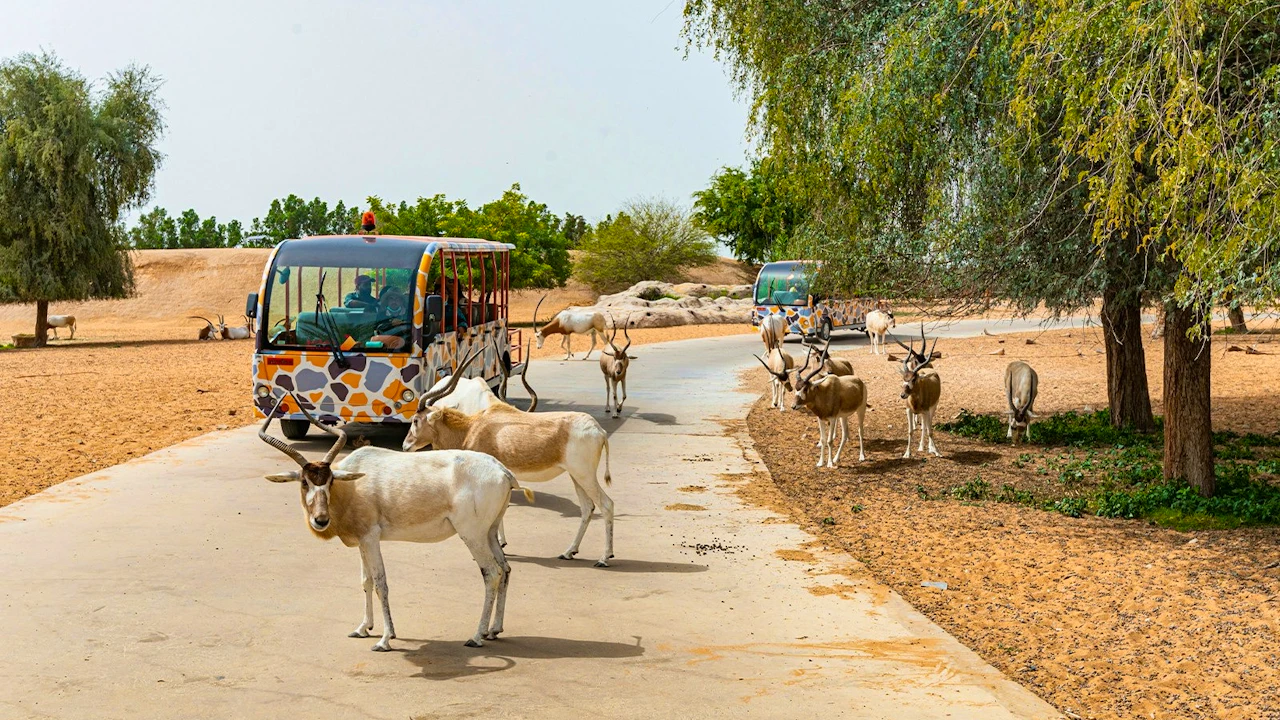 Dubai Safari Park + Global Village Ticket Ticket