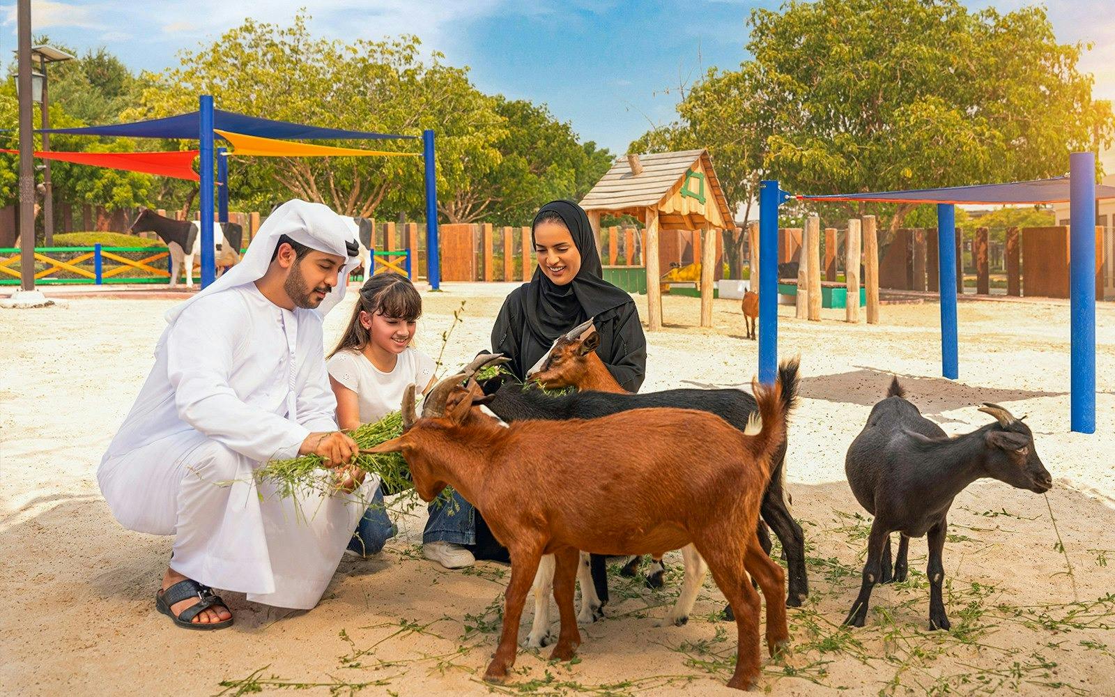 Dubai Safari Park + Global Village Ticket  Discount
