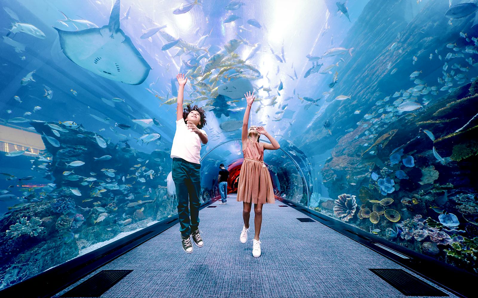 The Green Planet + Lost Chambers Aquarium Ticket 