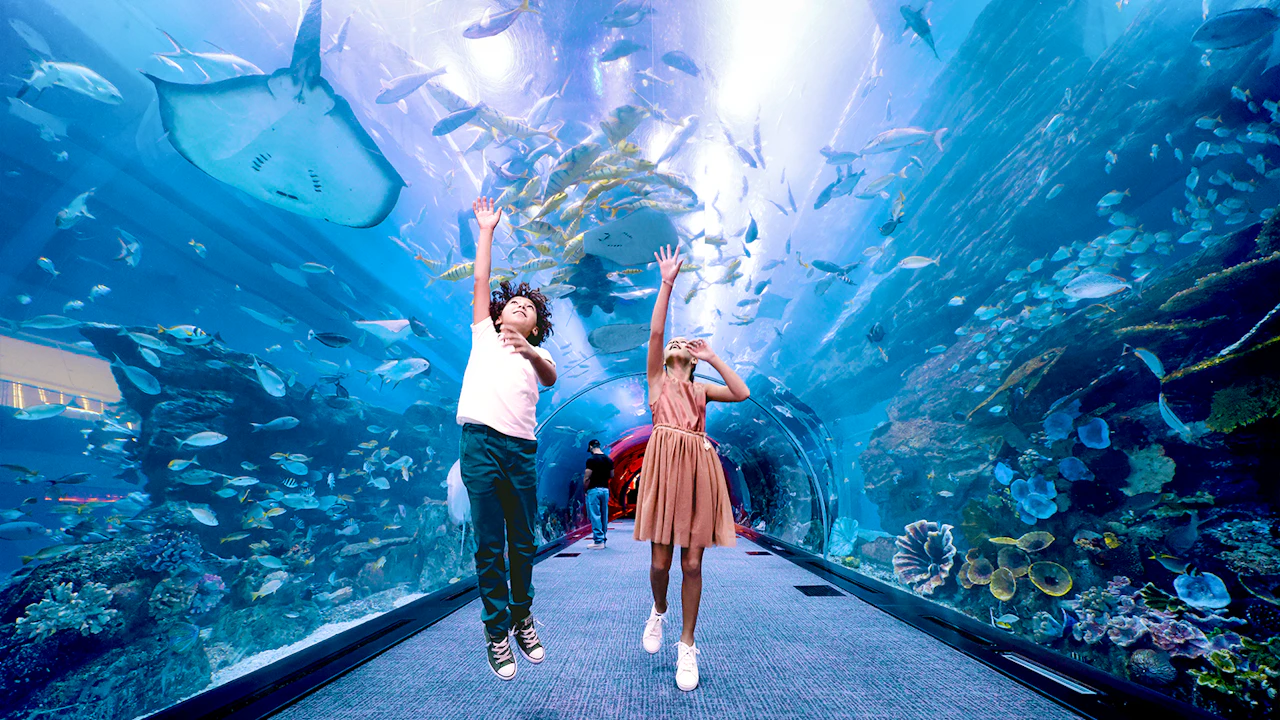 The Green Planet + Lost Chambers Aquarium Ticket