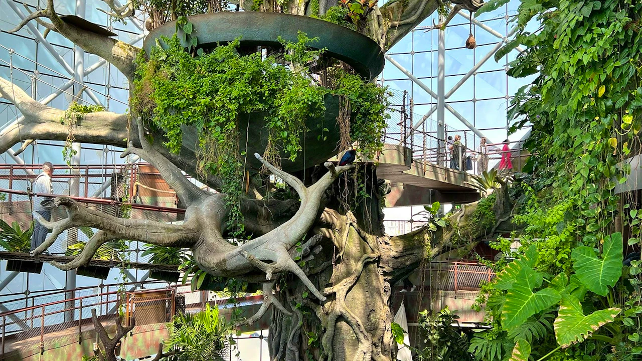 The Green Planet + Lost Chambers Aquarium Ticket Price
