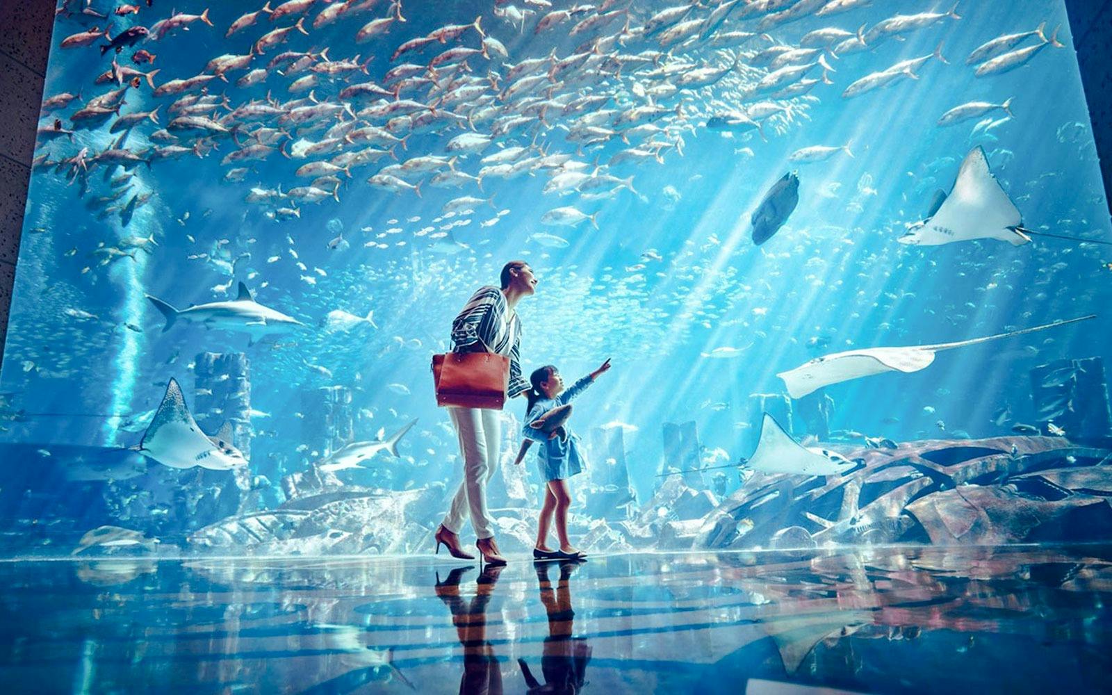 The Green Planet + Lost Chambers Aquarium Ticket 