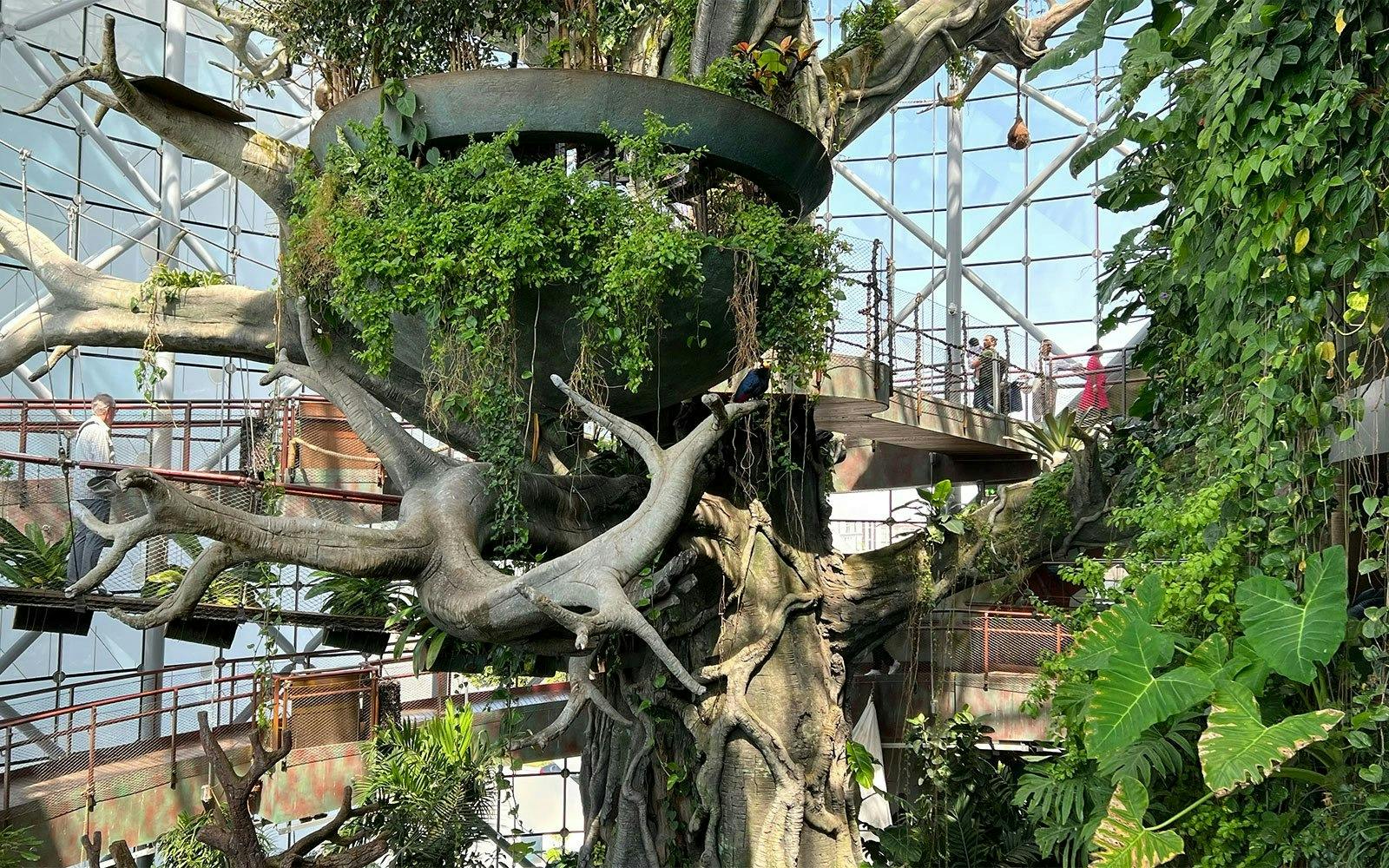Museum of the Future + The Green Planet Ticket Review