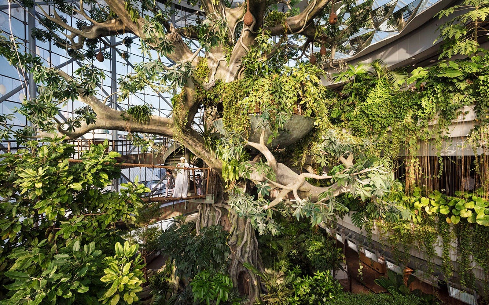 Museum of the Future + The Green Planet Ticket 
