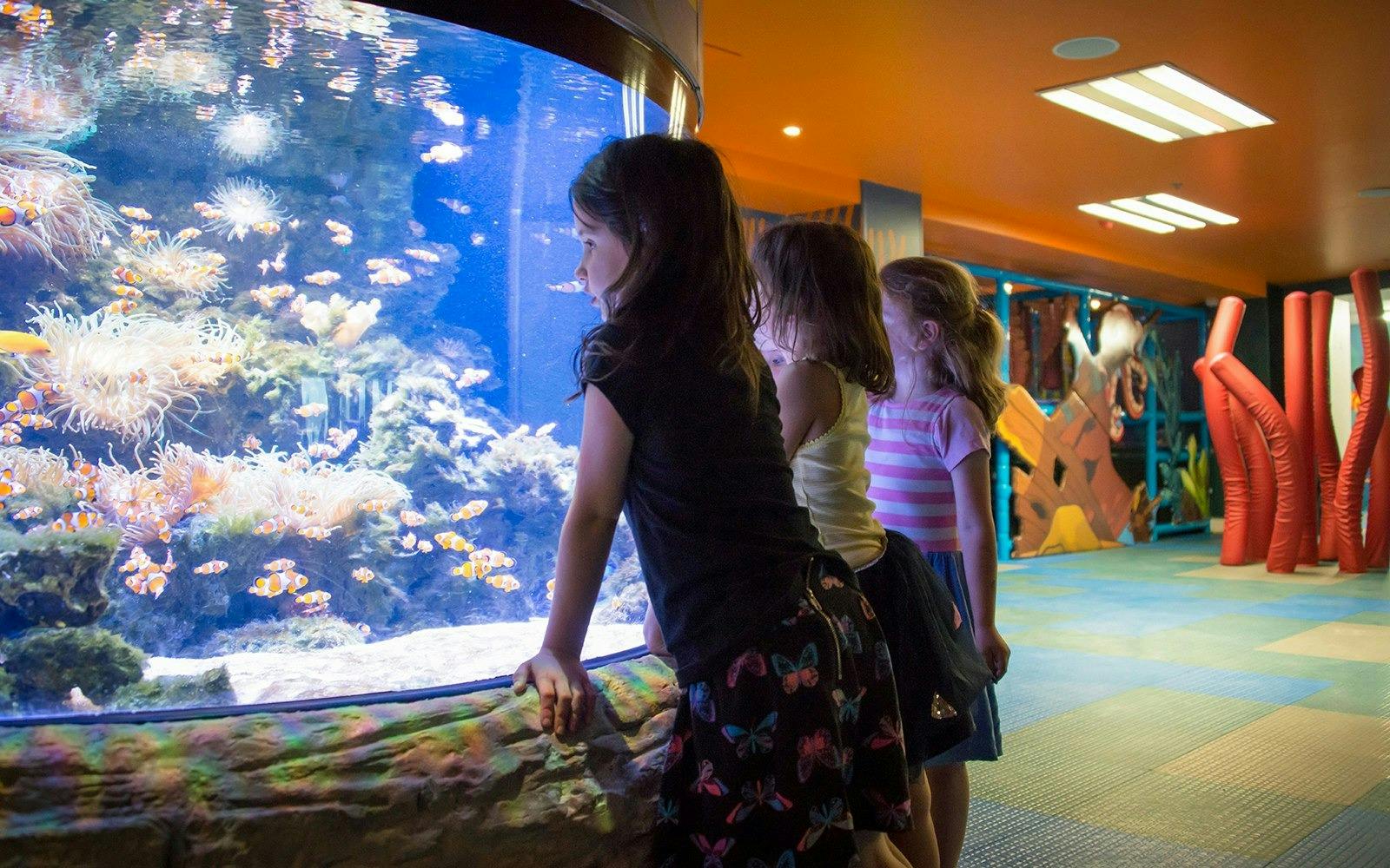 SEA LIFE Kelly Tarlton’s Aquarium & Auckland Zoo Ticket Discount