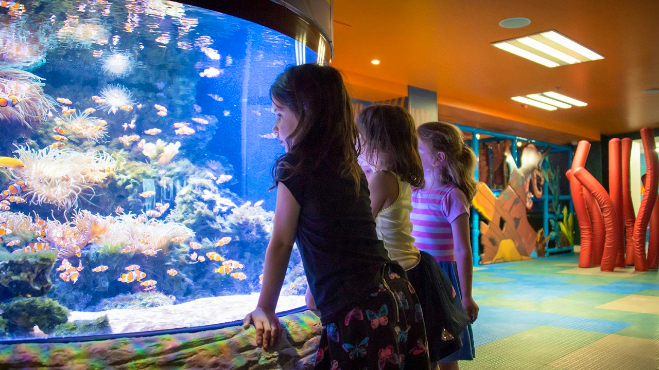 SEA LIFE Kelly Tarlton’s Aquarium & Auckland Zoo Ticket Discount