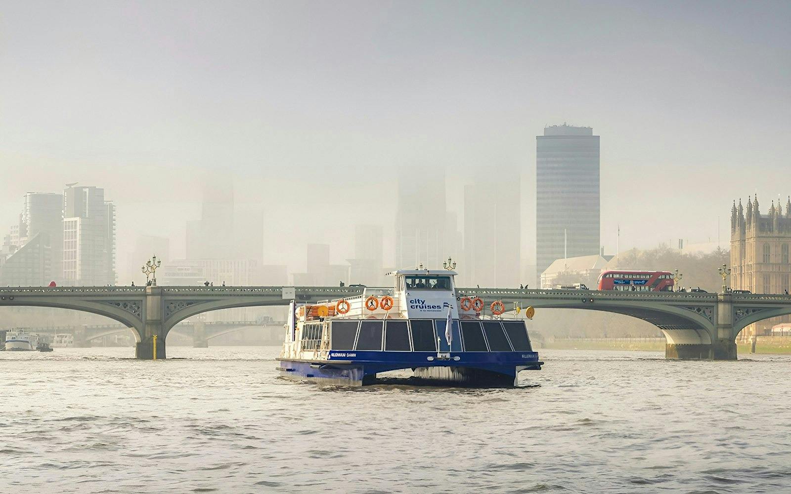 London Eye + River Thames Cruise Ticket 