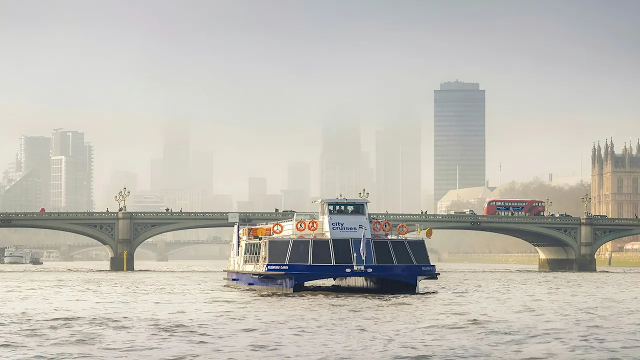 London Eye + River Thames Cruise Ticket