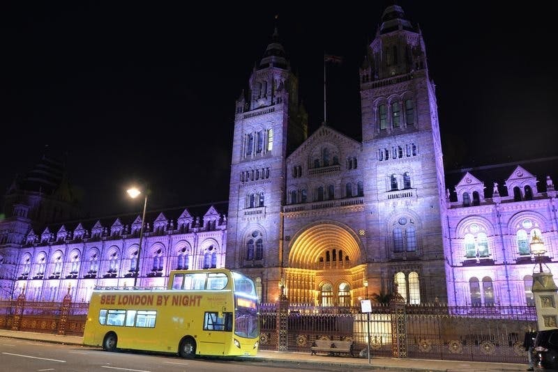 See London by Night Ticket Thrillark