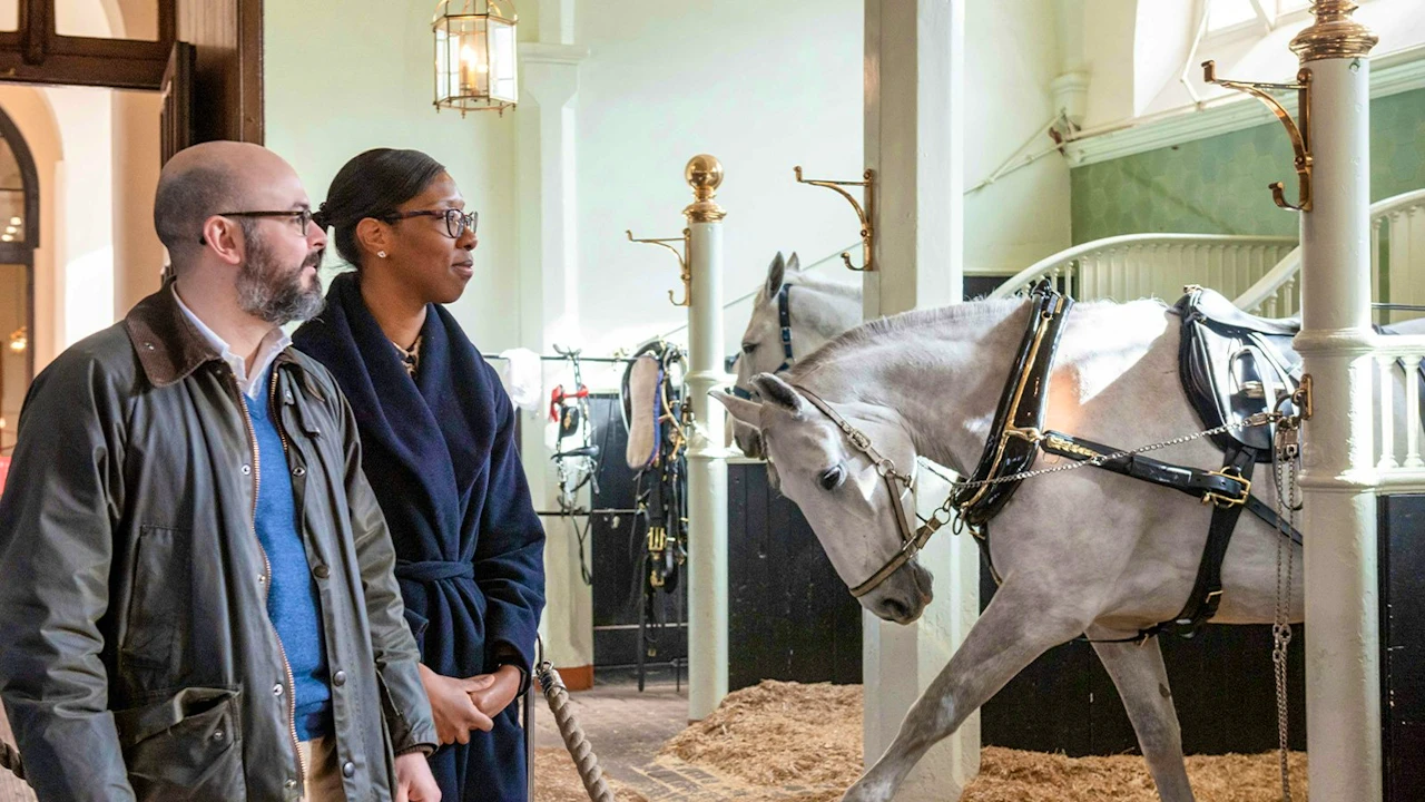 The Royal Mews at Buckingham Palace Ticket Price