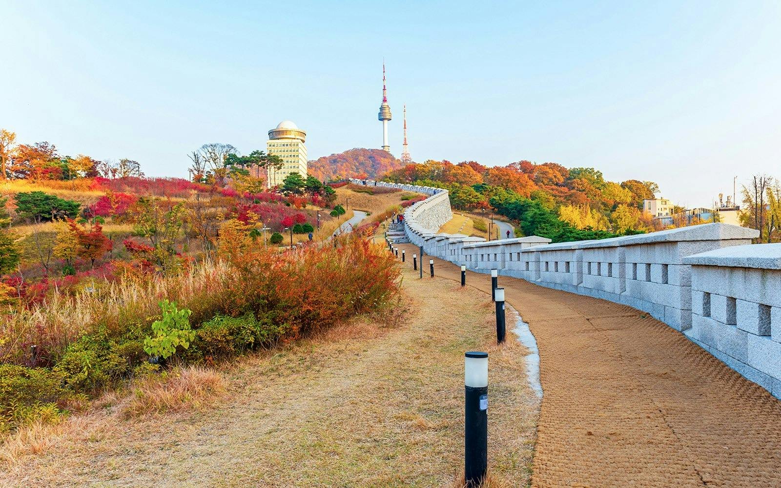 N Seoul Tower Observatory Ticket Category