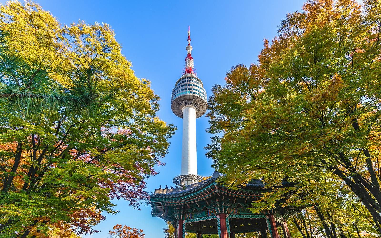 N Seoul Tower Observatory Ticket