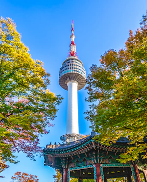 N Seoul Tower Observatory Ticket