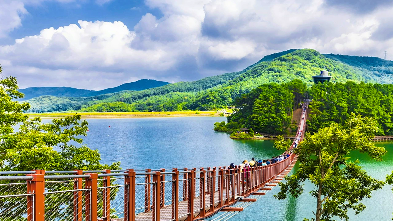 Demilitarized Zone (DMZ) Tour from Seoul