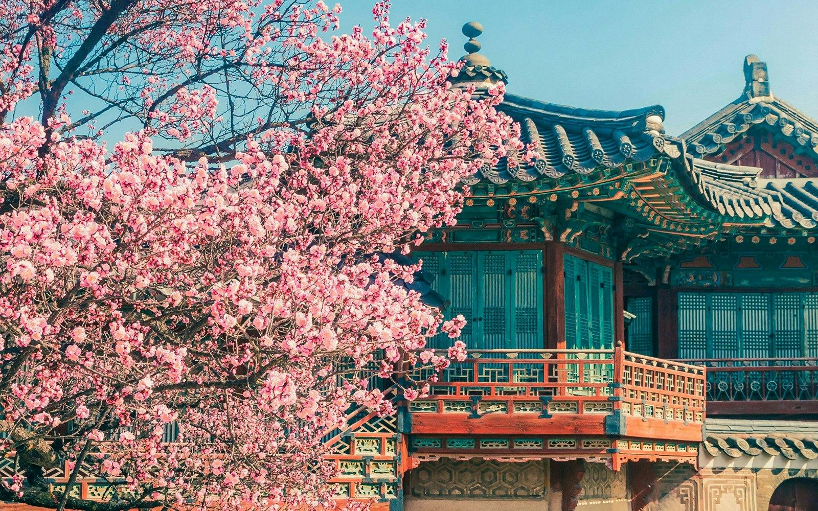 Discover Seoul Pass Price