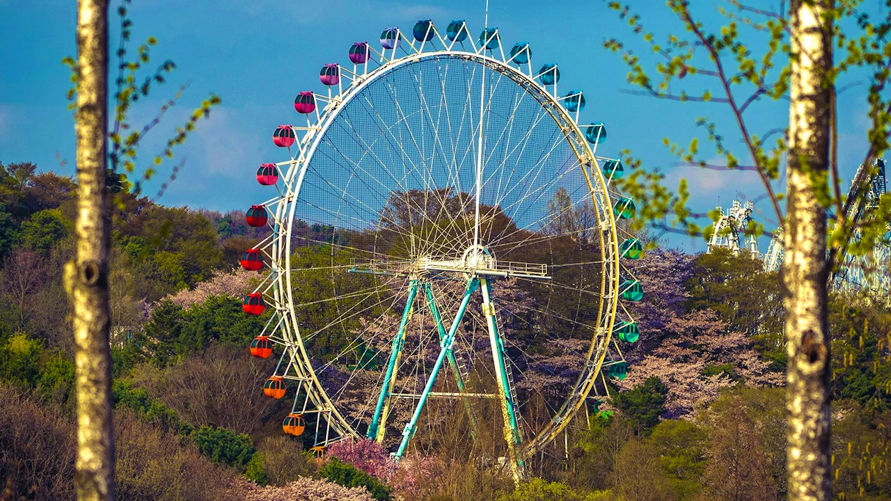 Everland Theme Park Ticket Review