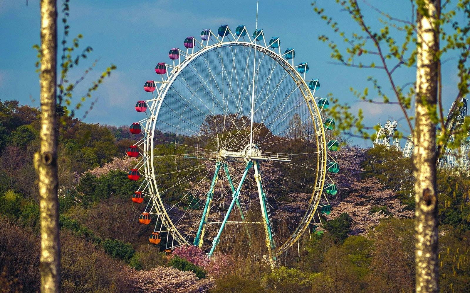 Everland Theme Park with Round Trip Transfers from Seoul Location