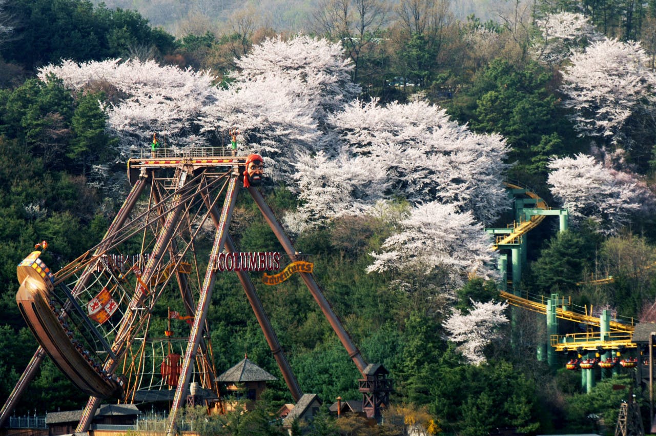Everland Theme Park with Round Trip Transfers from Seoul 