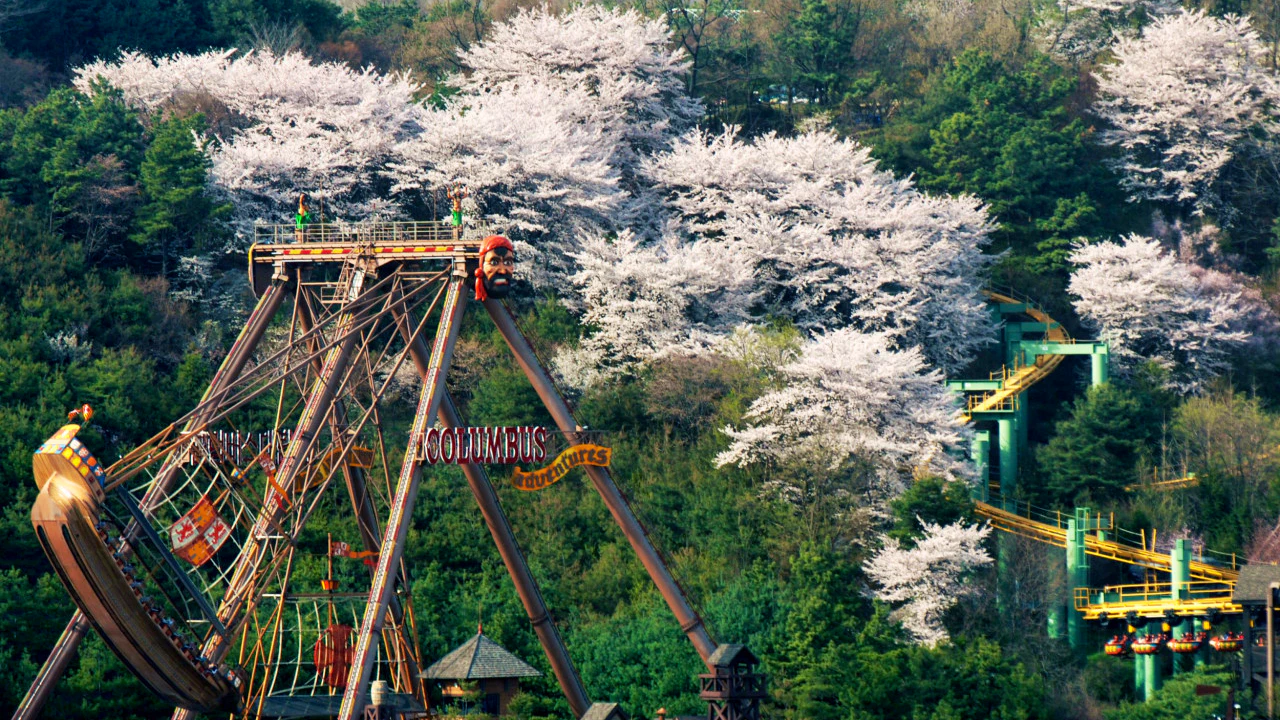 Everland Theme Park with Round Trip Transfers from Seoul