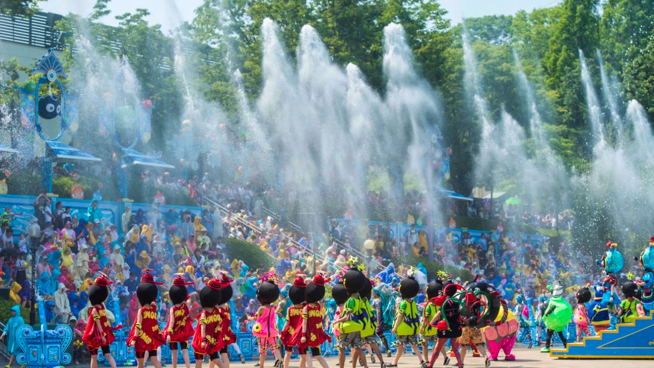 Everland Theme Park with Round Trip Transfers from Seoul