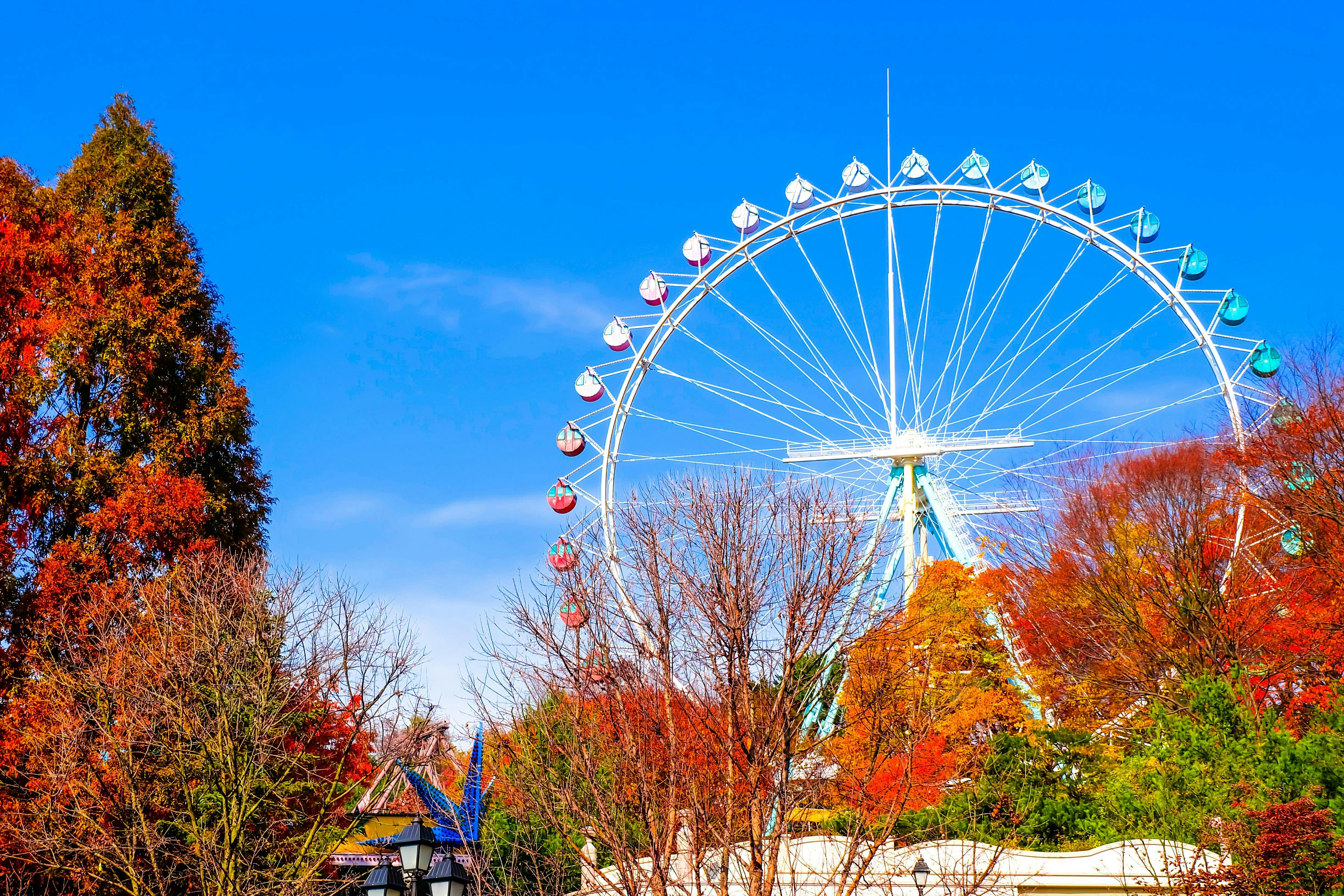 Everland Theme Park with Round Trip Transfers from Seoul