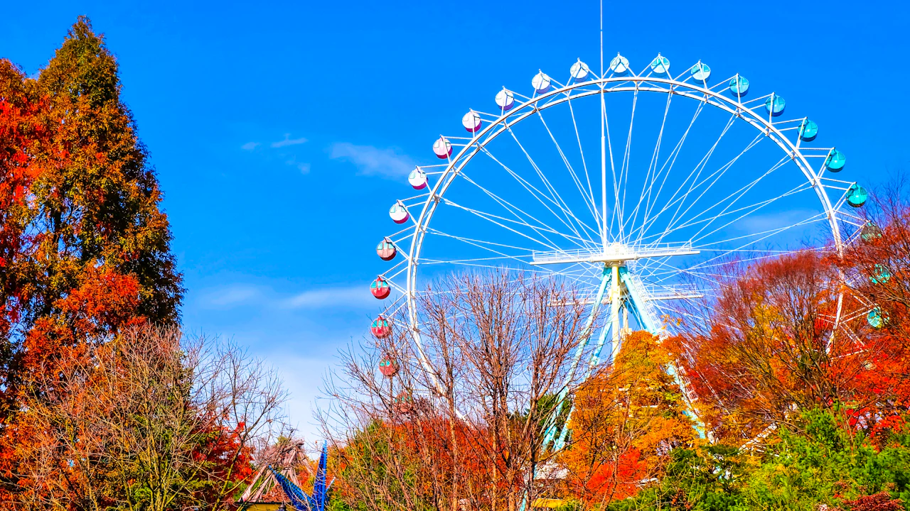 Everland Theme Park with Round Trip Transfers from Seoul