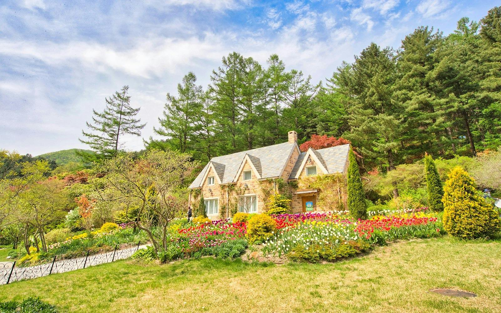 Nami Island, Petite France, Italian Village & Garden of Morning Calm Tour Category