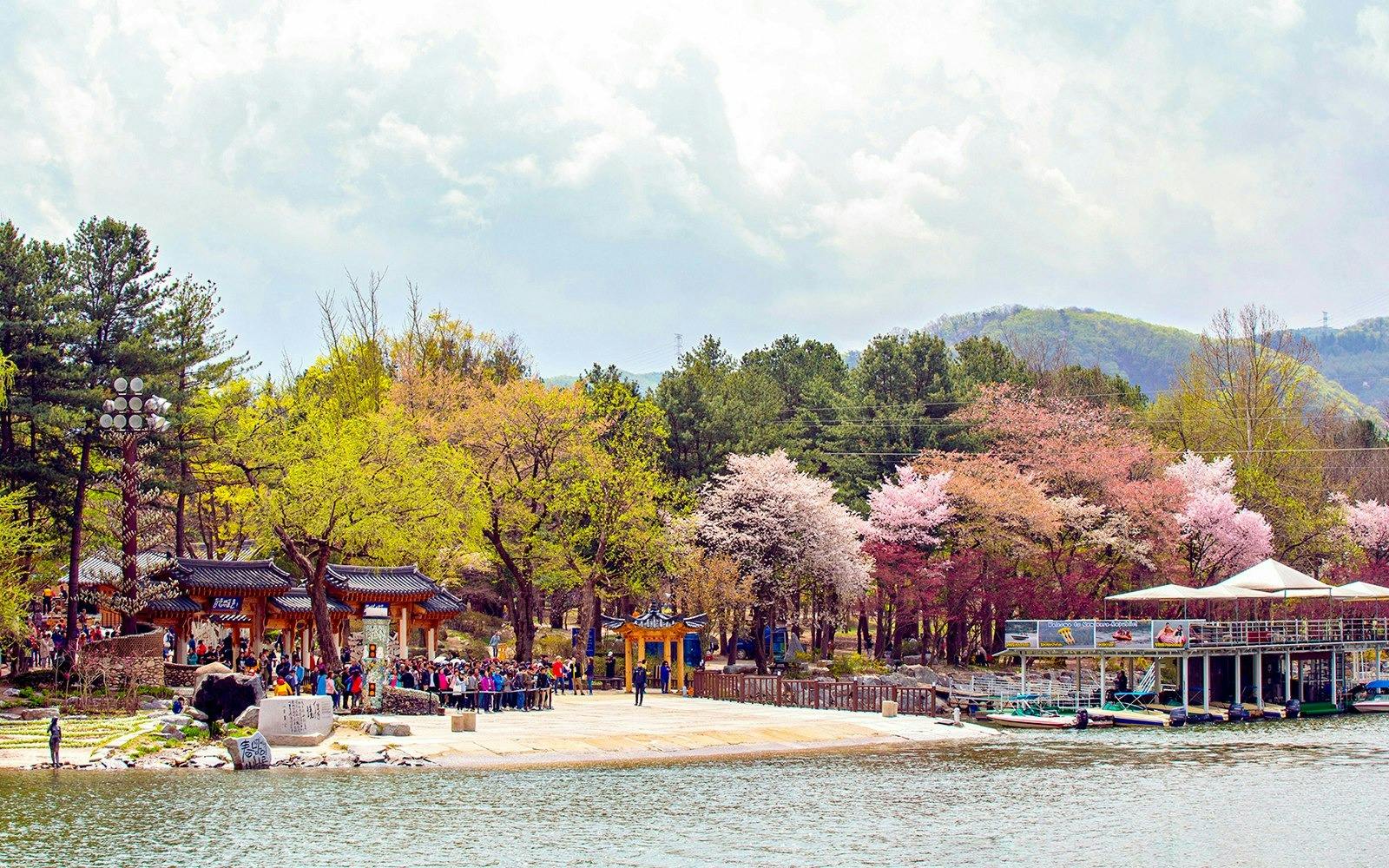 Nami Island, Petite France, Italian Village & Garden of Morning Calm Tour 