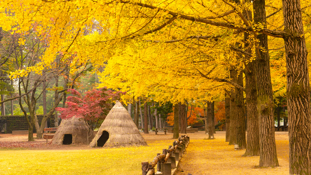 Nami Island, Petite France & Italian Village Tour Category