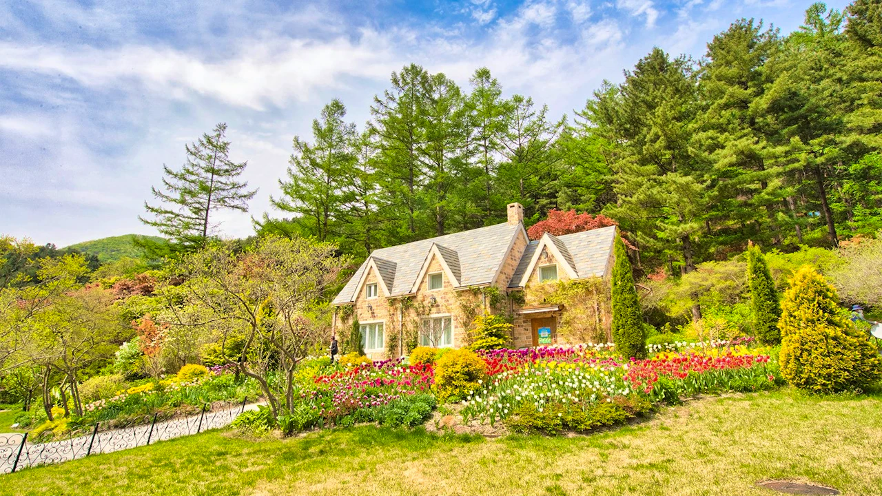 Nami Island, Petite France & Italian Village Tour Location