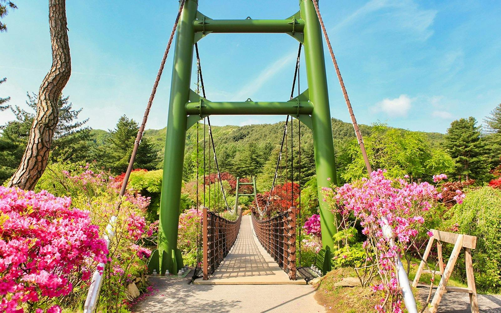 Nami Island & Garden of Morning Calm Tour Thrillark