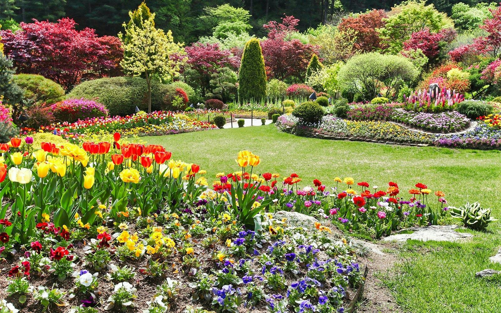 Nami Island & Garden of Morning Calm Tour Category