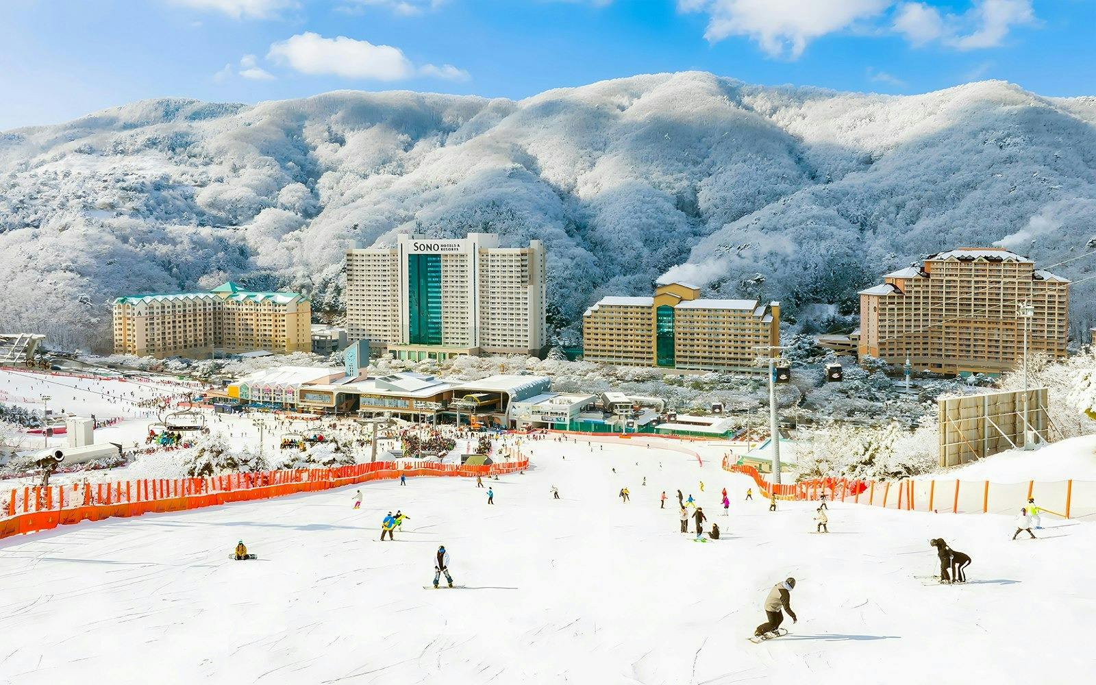 Vivaldi Park Ski World & Nami Island Full-Day Tour Discount