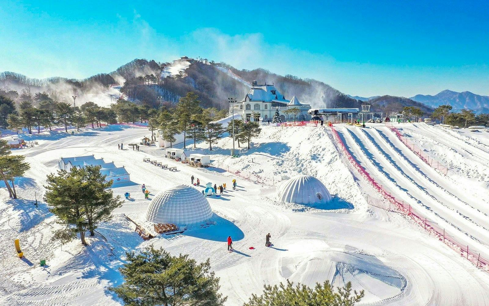 Vivaldi Park Ski World & Nami Island Full-Day Tour Category