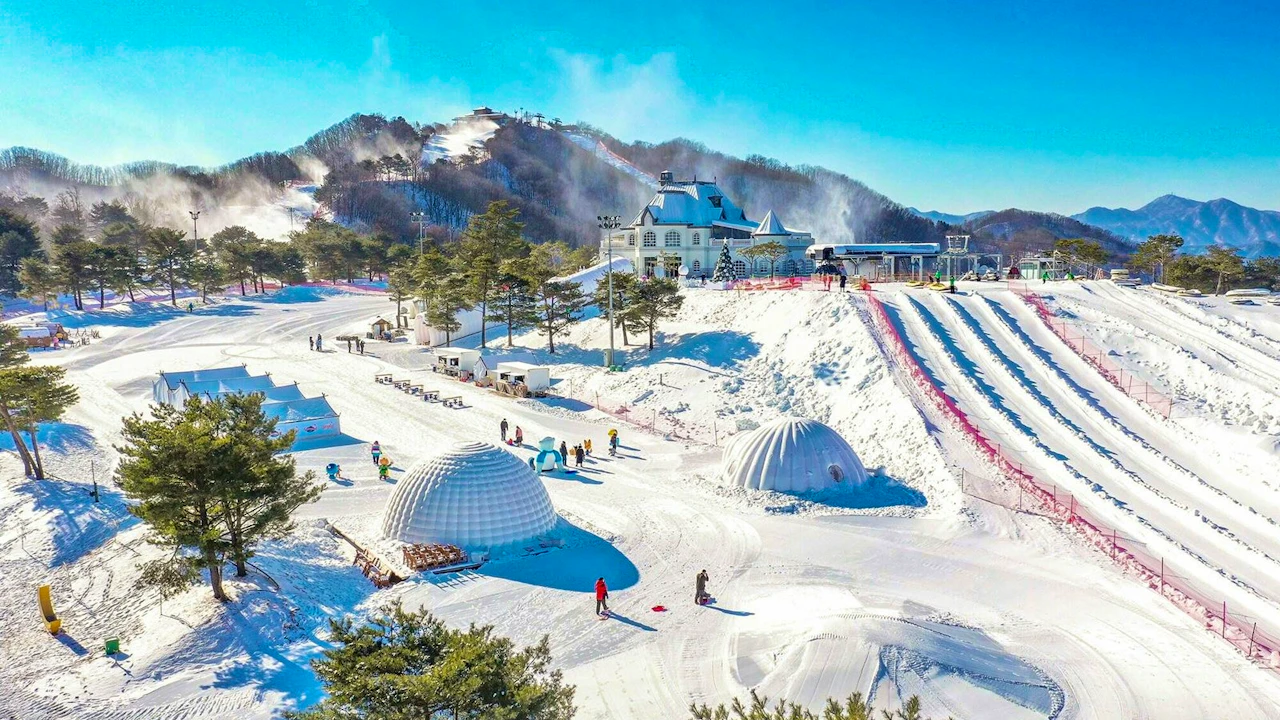 Vivaldi Park Ski World & Nami Island Full-Day Tour Category