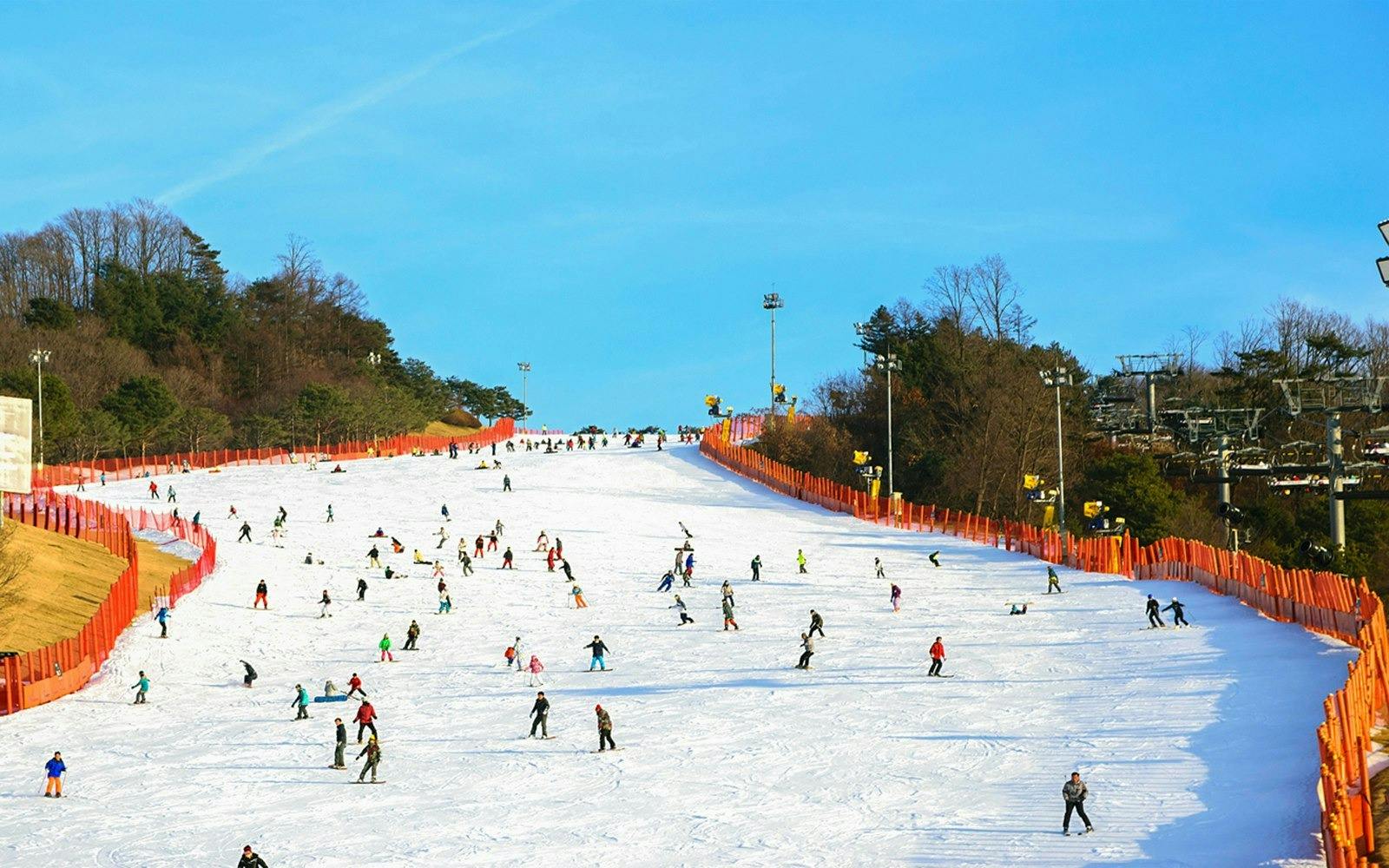 Vivaldi Park Ski World & Nami Island Full-Day Tour Ticket