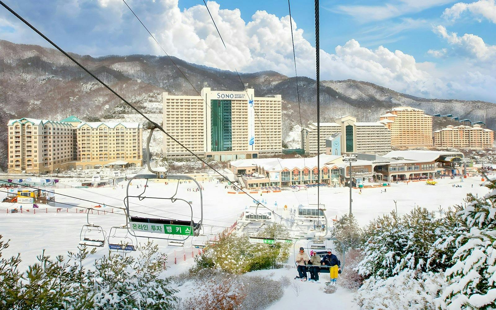 Vivaldi Park Ski World & Nami Island Full-Day Tour Thrillark