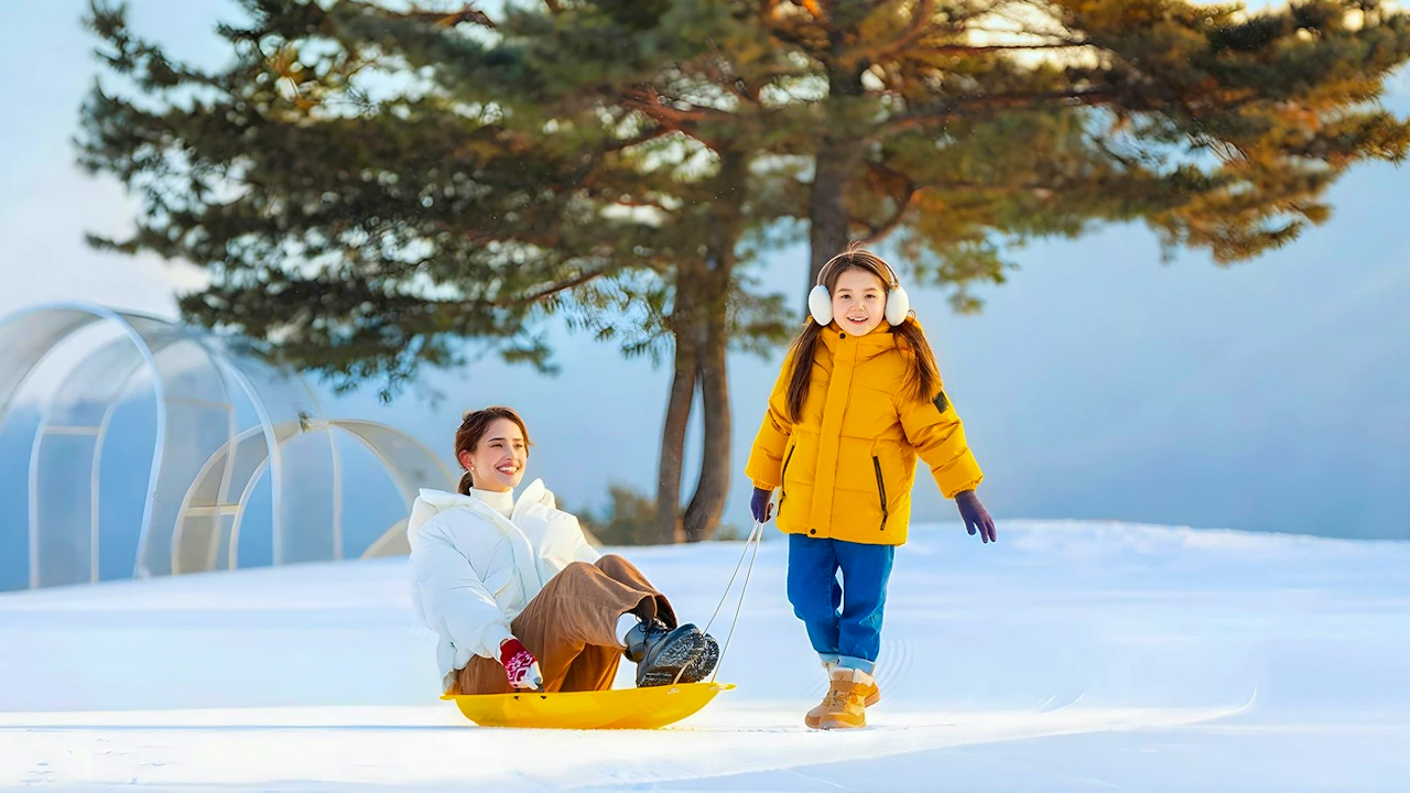 Vivaldi Park Ski World & Nami Island Full-Day Tour