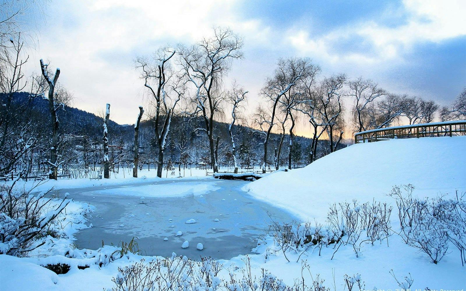 Vivaldi Park Ski World & Nami Island Full-Day Tour 